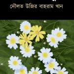 লায়লী-মজনু