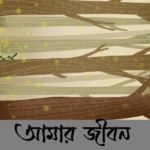 আমার জীবন